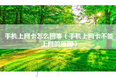 手机上网卡怎么回事(手机上网卡不能上网的原因)